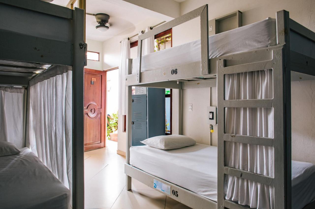 Puerto Dreams H Hostel Puerto Escondido  Ngoại thất bức ảnh