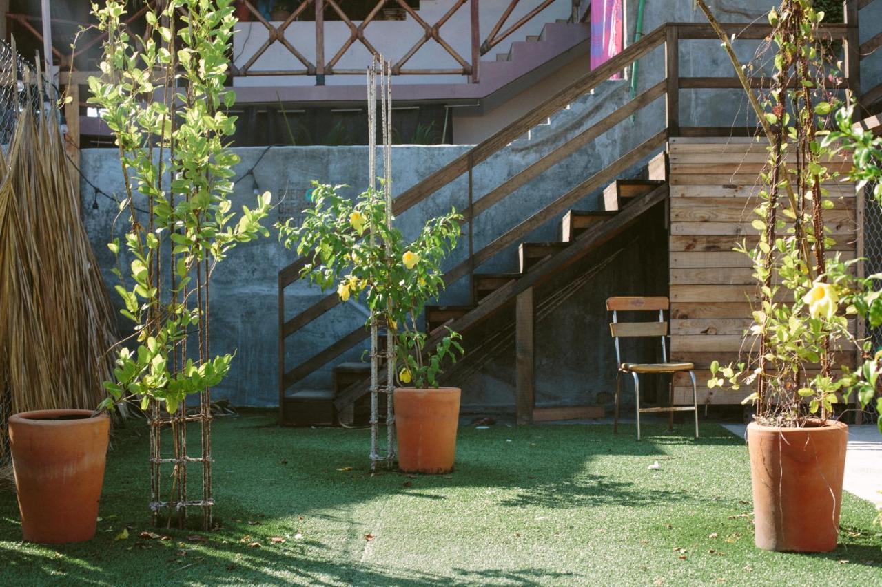 Puerto Dreams H Hostel Puerto Escondido  Ngoại thất bức ảnh